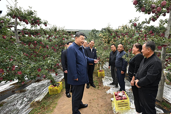 “让农民腰包越来越鼓、生活越来越美好”——习近平总书记走进田间地头话“三农”